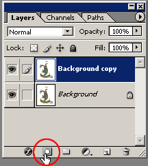 Photoshop Tutorial - Screenshot